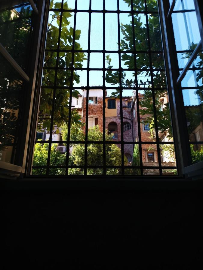 Chill In Tuscany Ground Floor Λούκα Εξωτερικό φωτογραφία